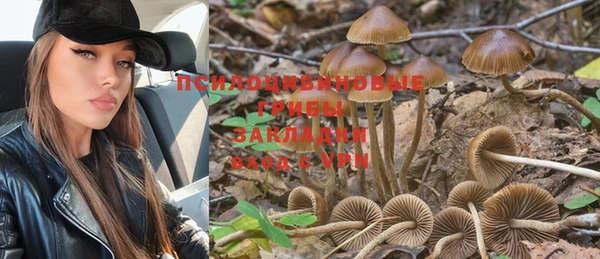 не бодяженный Надым